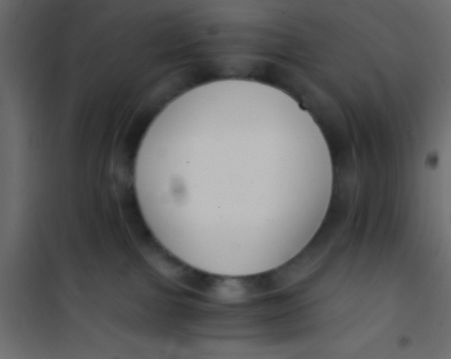 X0000101110091200807171946