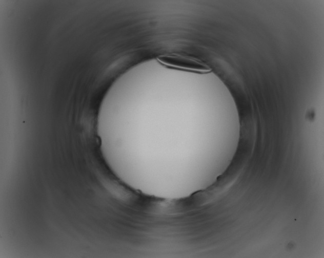 X0000101110092200807171946