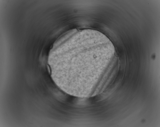 X0000101110093200807171946