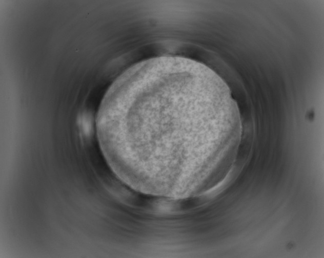 X0000101110094200807171946