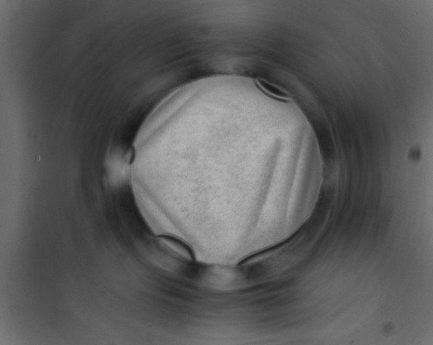 X0000101110095200807171946