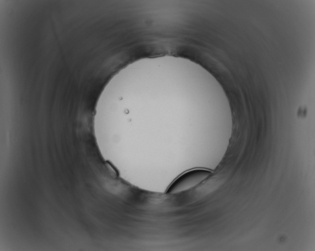 X0000101110096200807171946