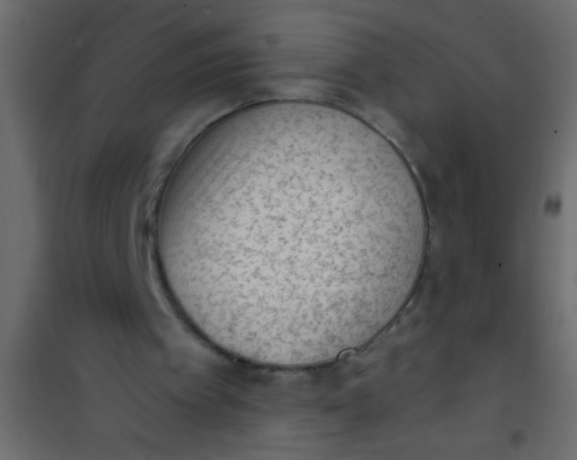 X0000101110097200807171946