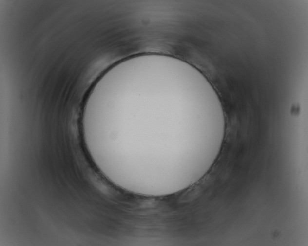 X0000101110098200807171946