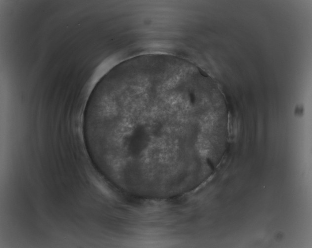 X0000101110099200807171946