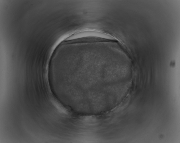 X0000101110100200807171946