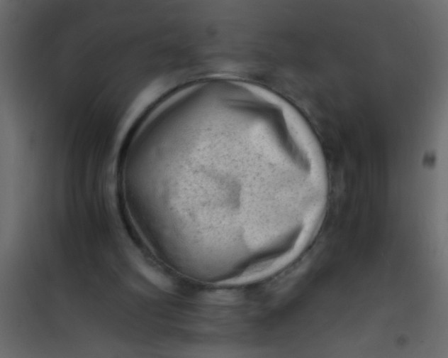 X0000101110102200807171946