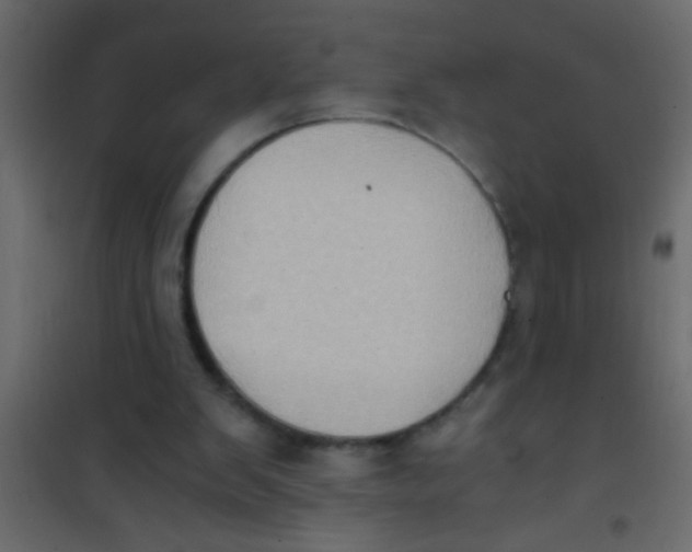 X0000101110103200807171946