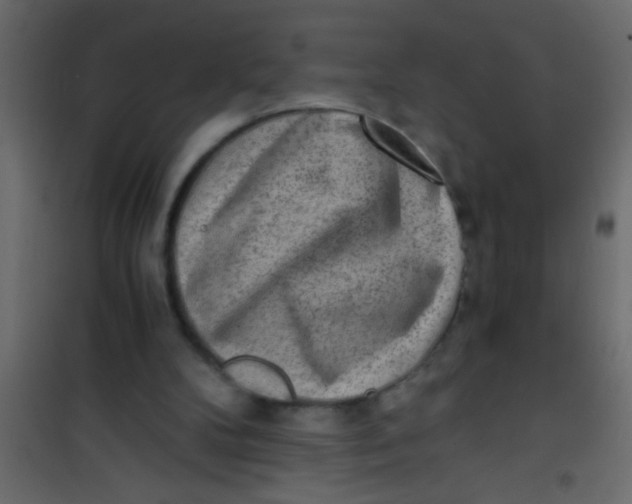 X0000101110104200807171945