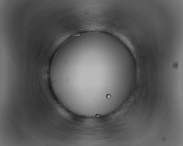 X0000101110105200807171945