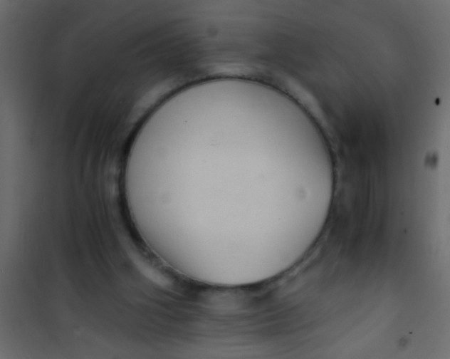 X0000101110106200807171945