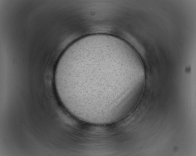 X0000101110107200807171945