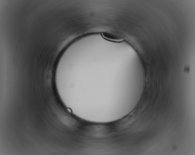 X0000101110108200807171945