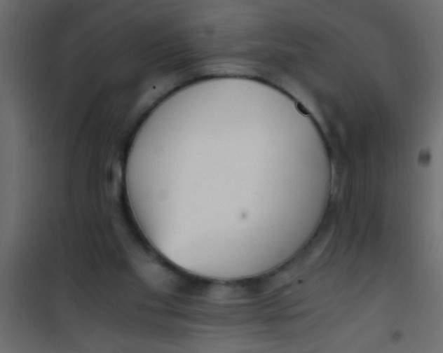 X0000101110109200807171945