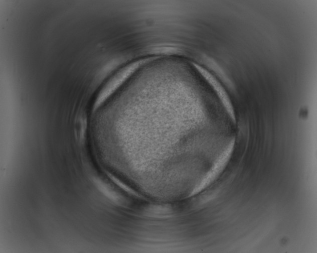 X0000101110110200807171945