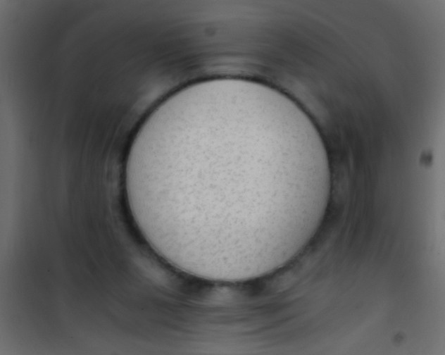 X0000101110111200807171945