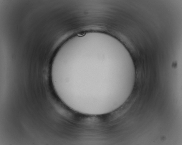 X0000101110112200807171945