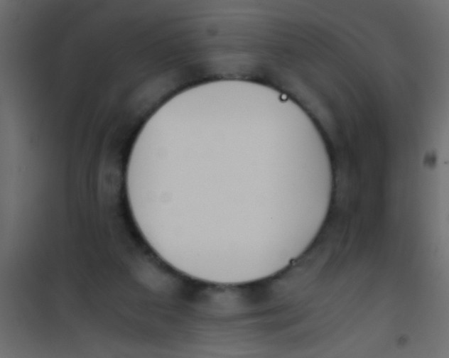 X0000101110113200807171945