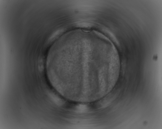 X0000101110114200807171945