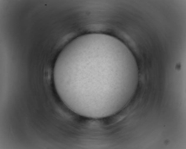 X0000101110115200807171945