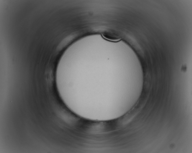 X0000101110116200807171945