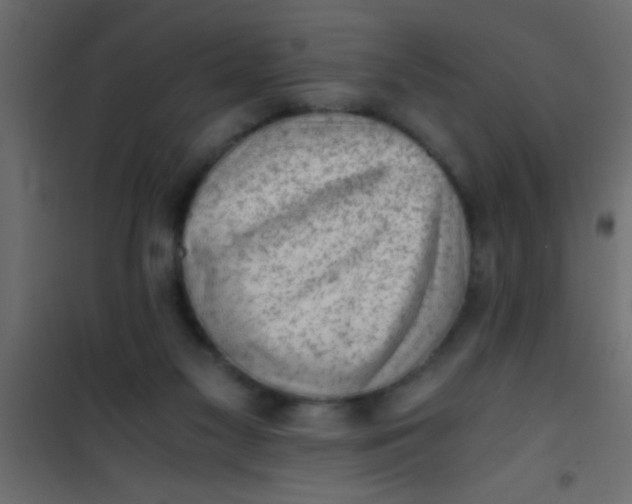 X0000101110117200807171945