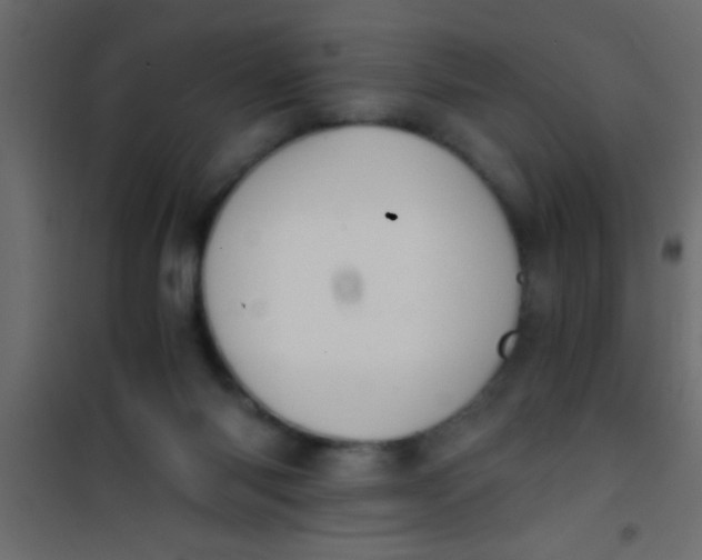 X0000101110118200807171945