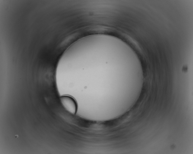 X0000101110119200807171945