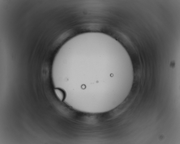 X0000101110120200807171945