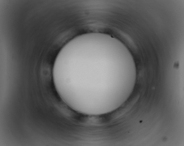 X0000101110121200807171945