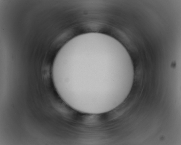 X0000101110122200807171945