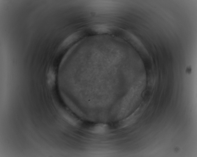 X0000101110124200807171945