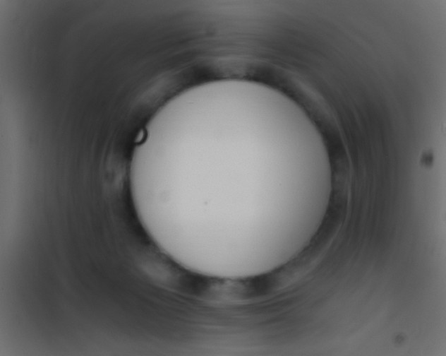 X0000101110125200807171945