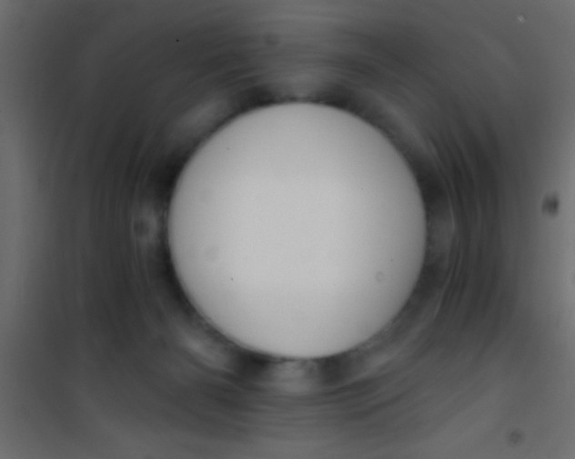 X0000101110126200807171945