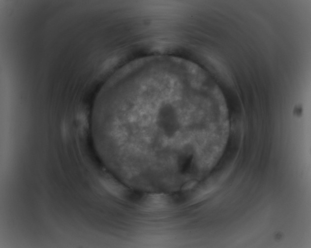 X0000101110127200807171945