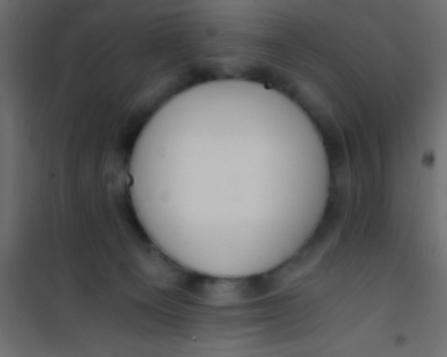 X0000101110129200807171945