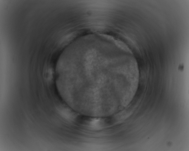 X0000101110130200807171945