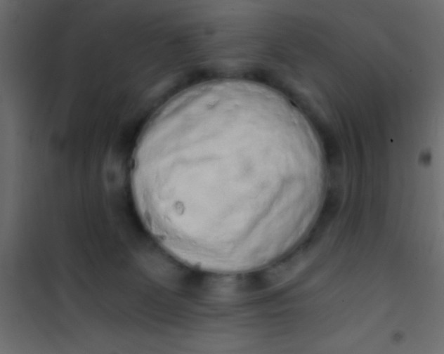 X0000101110131200807171945