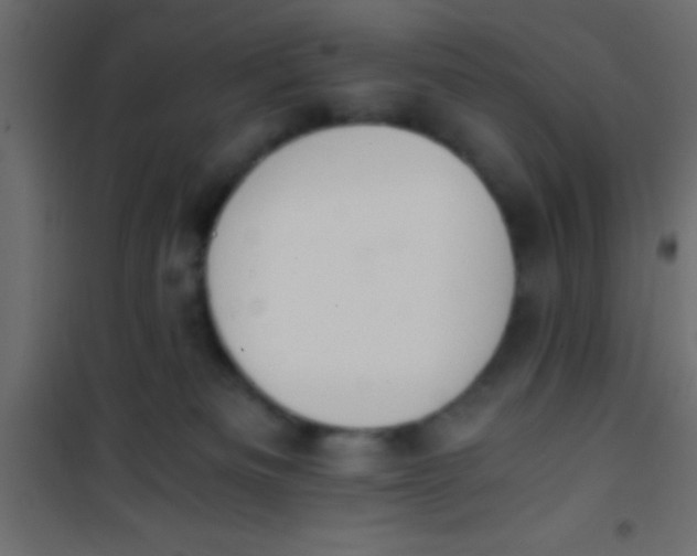 X0000101110133200807171945