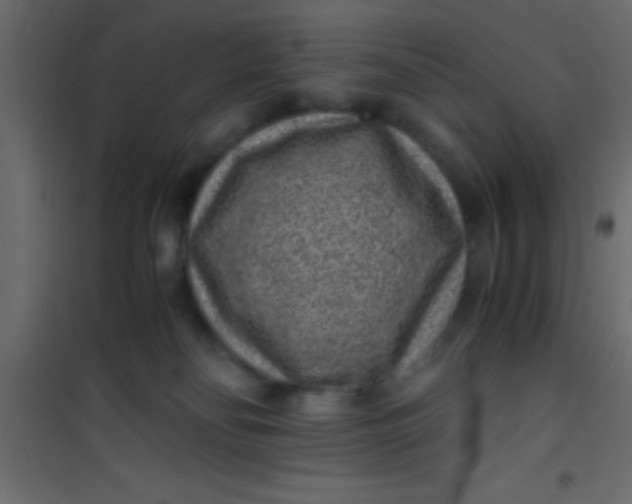 X0000101110134200807171945