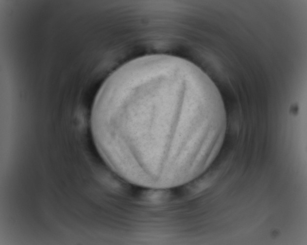 X0000101110135200807171945