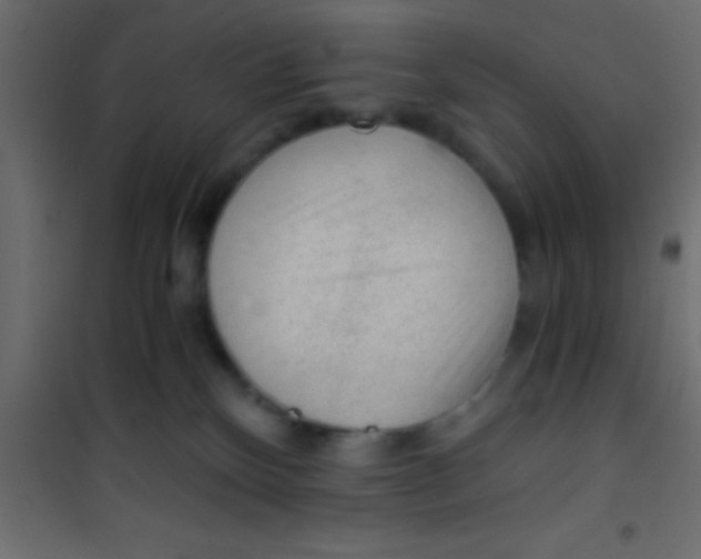 X0000101110136200807171945