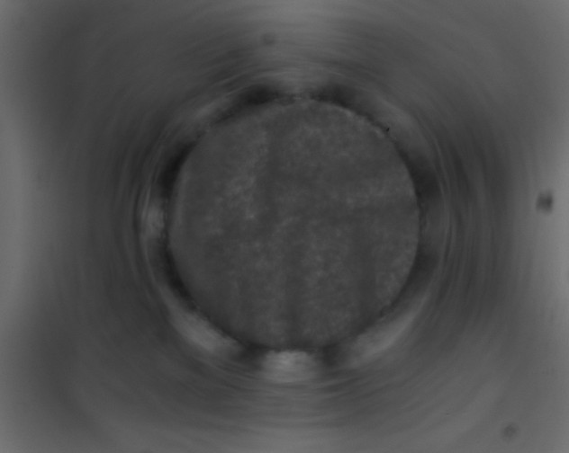 X0000101110137200807171945