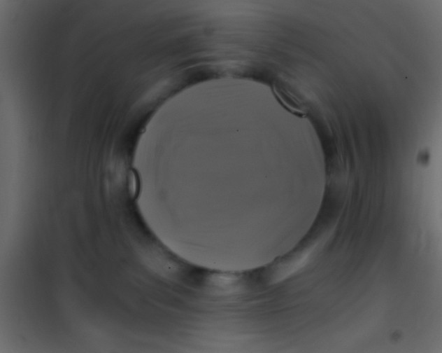 X0000101110139200807171945