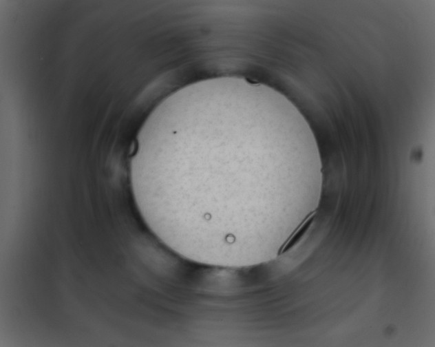 X0000101110140200807171945