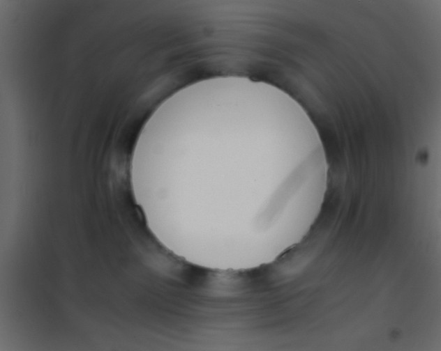 X0000101110141200807171945