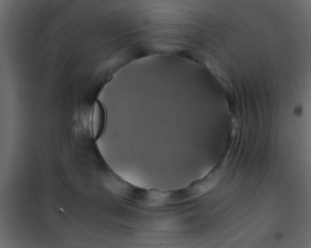 X0000101110143200807171945