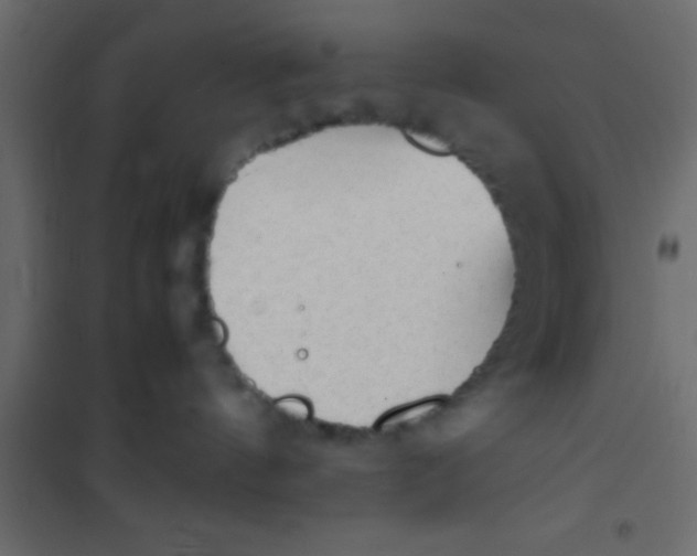 X0000101110144200807171945