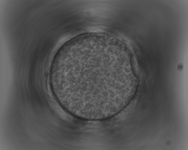 X0000101110145200807171944