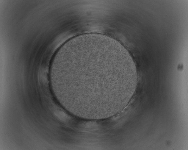 X0000101110146200807171944